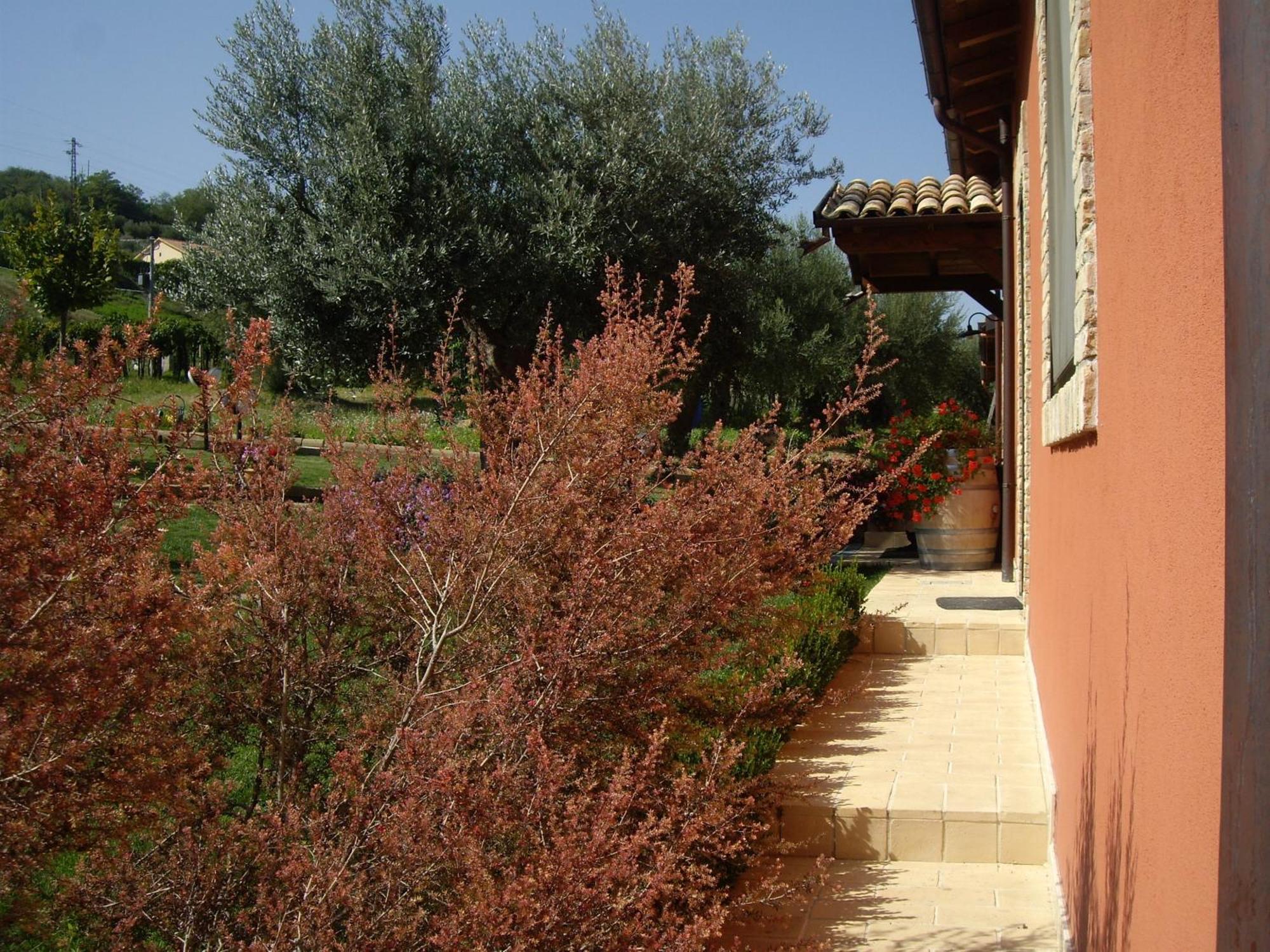 Agriturismo Il Borgo Degli Ulivi Roseto degli Abruzzi Kültér fotó